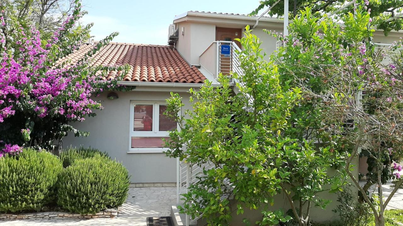 Haus Mirela Apartment Liznjan Exterior photo